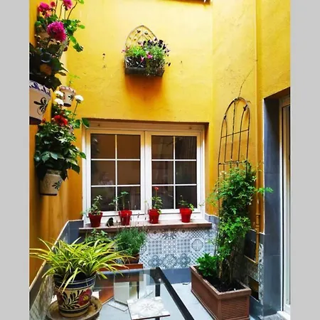 Apartamento en Cimadevilla junto al Puerto Deportivo